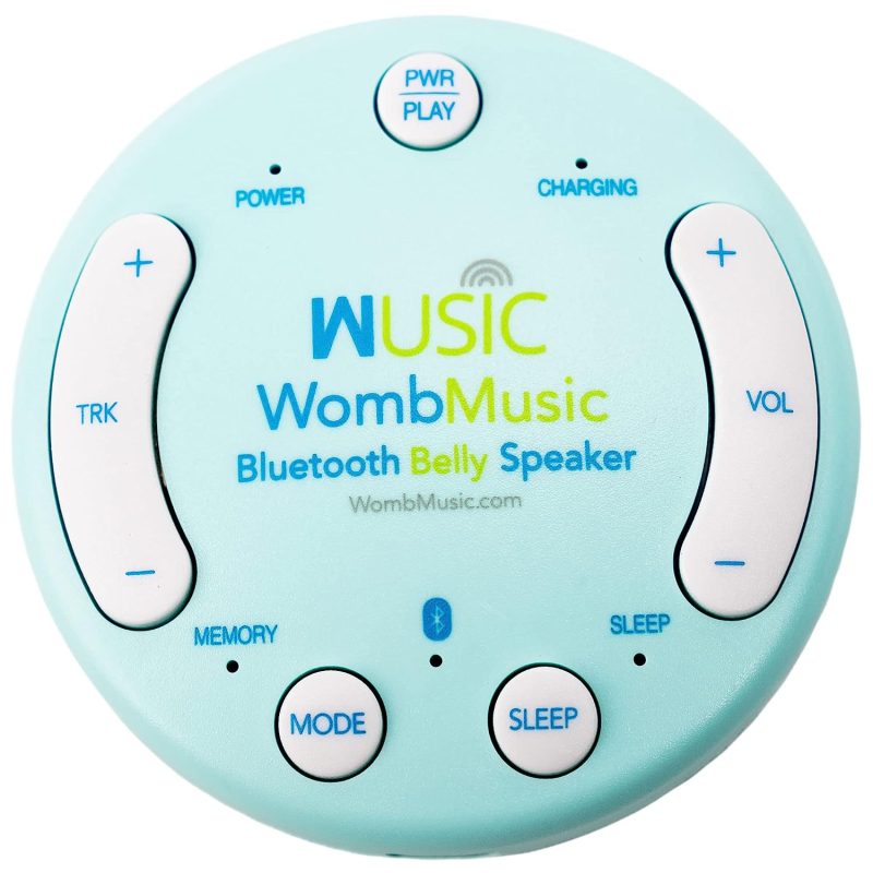 Womb music